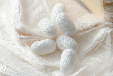 「汗ばむ夜もぐっすり！自然がくれた“呼吸する布団”とは？」