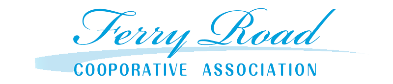 採用特設サイトを開設しました。