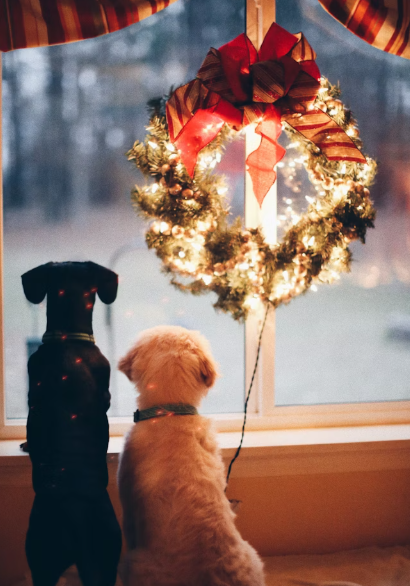 年末年始休暇のご案内「2025年～2026年」