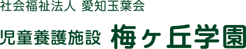 採用特設サイトをオープンしました